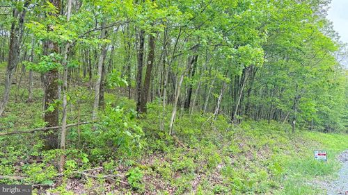 182 Salem Mountain Rd, Carbondale, PA, 18407-2539 | Card Image