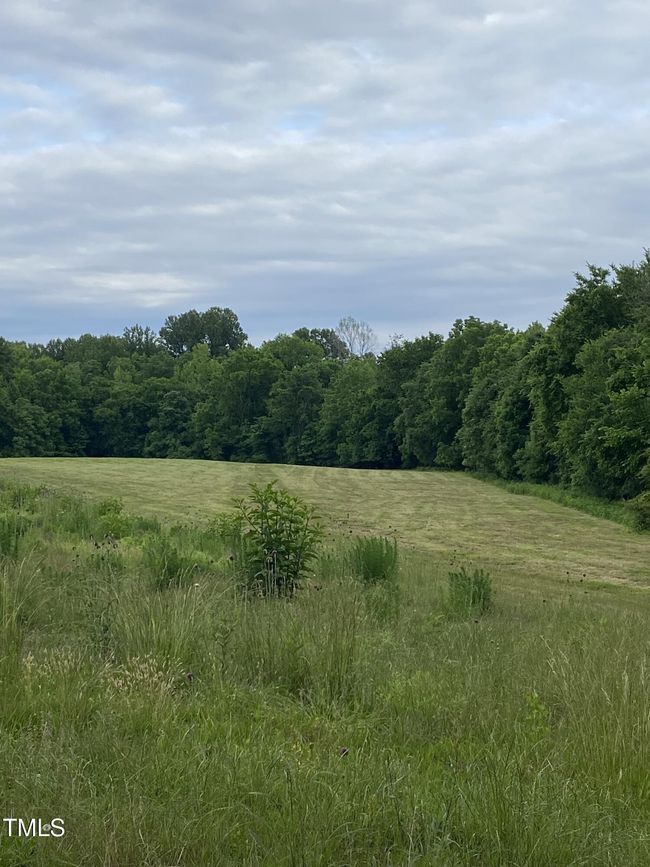 3 resized | Image 4