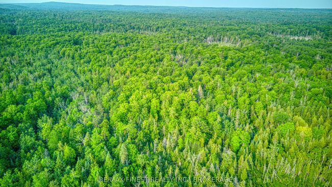 E 1/2 Lot 22 Concession 9 Palmerston N/A, House other with 3 bedrooms, 0 bathrooms and 10 parking in North Frontenac ON | Image 6