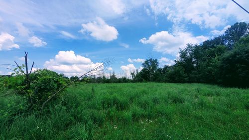 3647020 Mcmahon Rd, Oconomowoc, WI, 53066 | Card Image