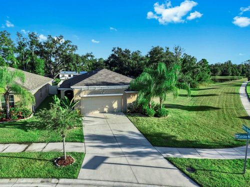 17103 Sunshine Mimosa St, WIMAUMA, FL, 33598-2513 | Card Image