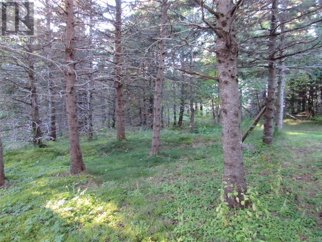 C - 54 C Point Rd, Home with 0 bedrooms, 0 bathrooms and null parking in Chapel Cove NL | Image 4