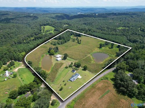 2828 Egypt Road, Altoona, AL, 35952 | Card Image