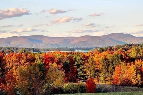 264 Old Lake Shore Rd, Gilford, NH, 03249-6553 | Card Image