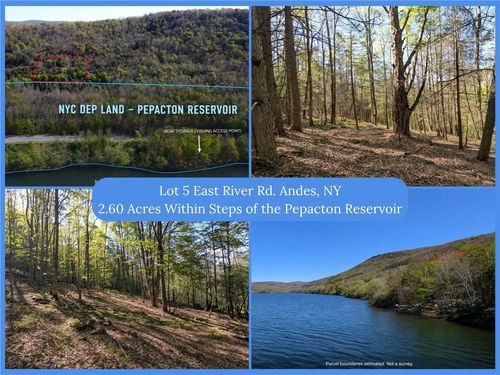 Lot 5 East River Road, Andes, NY, 13731 | Card Image