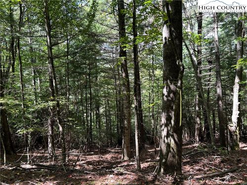 TBD Cherry Dr, Jefferson, NC, 28640 | Card Image