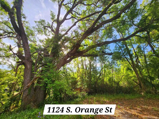 2 - 1124 S Orange St, Home with 0 bedrooms, 0 bathrooms and null parking in Perry FL | Image 38
