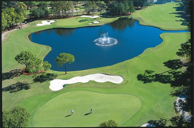 09110 - 36750 Us Highway 19 N, Condo with 1 bedrooms, 10 bathrooms and null parking in PALM HARBOR FL | Image 47