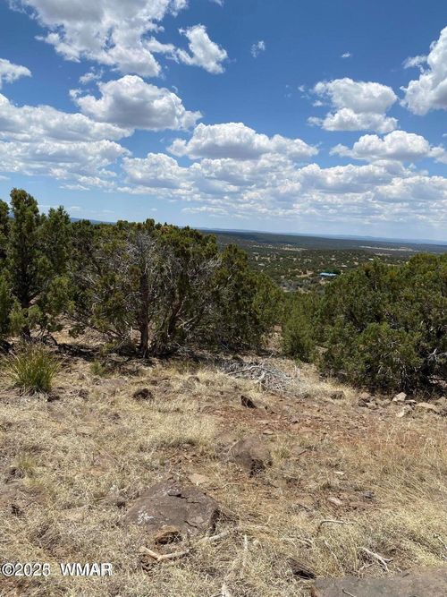 Lot 384 Show Low Pines Unit 10, Concho, AZ, 85924 | Card Image