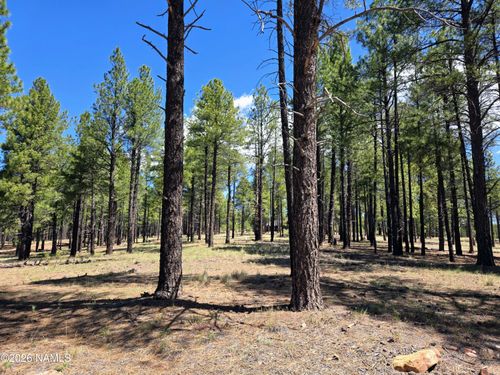 4611 E Monroe St, Flagstaff, AZ, 86004-8945 | Card Image