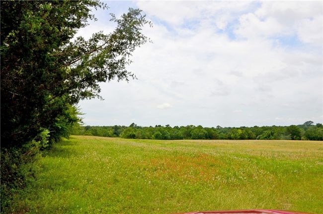 View of woods featuring a rural view | Image 11