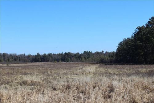 0 Maple Road - 20 Acres, PINE VALLEY, WI, 54456 | Card Image