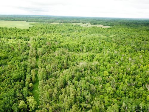 TBD Cormorant Road Ne, Kelliher, MN, 56650 | Card Image