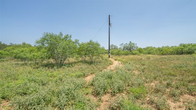 View of local wilderness | Image 7