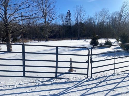 8708 Oramel Hill Rd, Caneadea, NY, 14717-8777 | Card Image