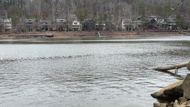 Lot 8 County Road 106, Home with 0 bedrooms, 0 bathrooms and null parking in LOGAN AL | Image 4