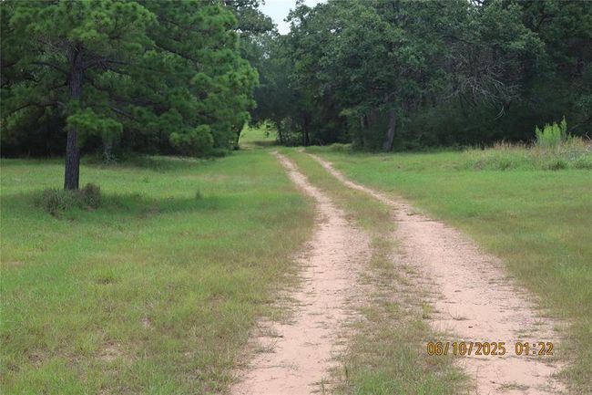 1584 Dungens Mill Rd, Home with 0 bedrooms, 0 bathrooms and null parking in Columbus TX | Image 23