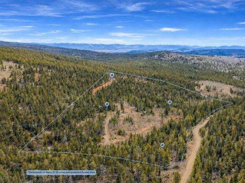 000 Beaver Creek Road, ALMA, CO, 80420 | Card Image
