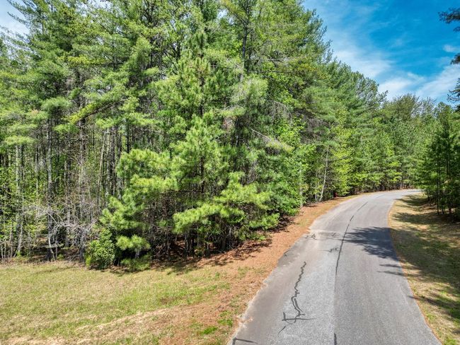 LOT 93 Sanctuary Dr, Home with 0 bedrooms, 0 bathrooms and null parking in Blairsville GA | Image 7