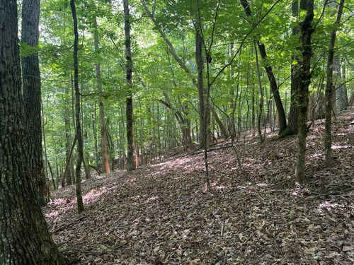 Lot 11 Brumby Run, Blairsville, GA, 30512 | Card Image