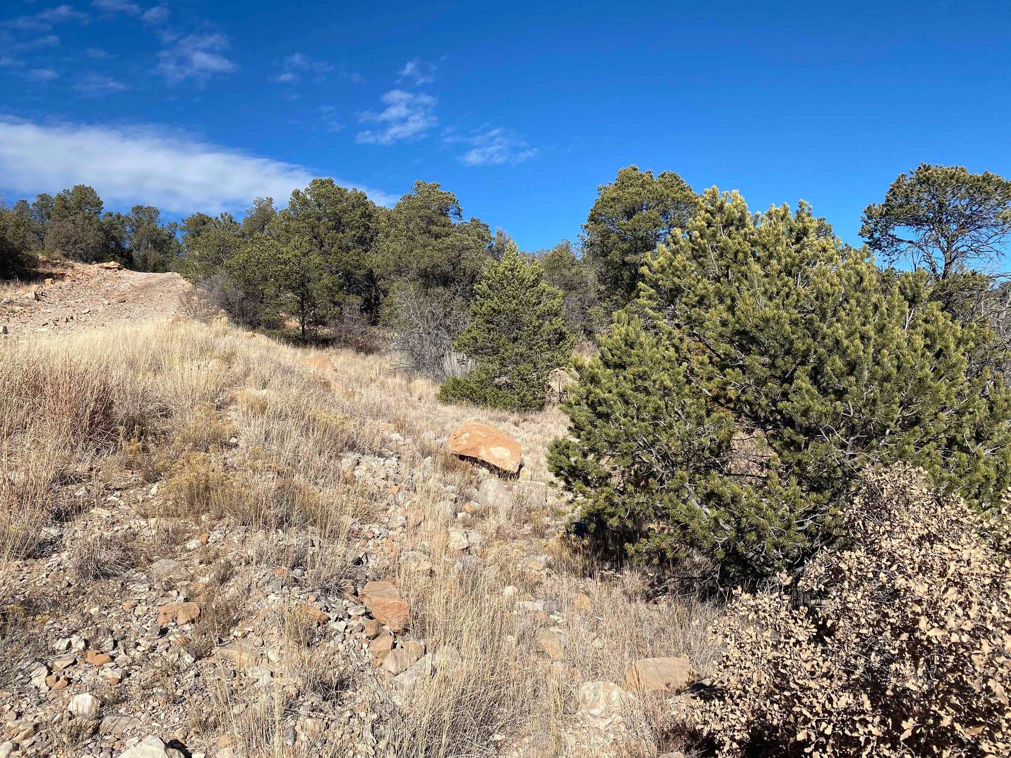 Land in Timberon 5