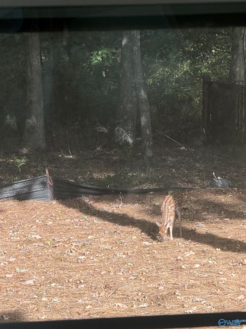 29 Bluff Creek Cir Se, Huntsville, AL, 35803-1990 | Card Image