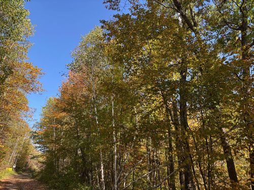 TBD County 12, Akeley, MN, 56433 | Card Image