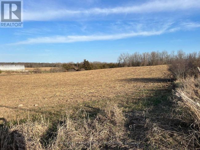 657 5 Th Line W, Home with 0 bedrooms, 0 bathrooms and null parking in Campbellford ON | Image 4