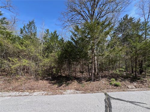 TBD W Larchwood Dr, Lead Hill, AR, 72644 | Card Image