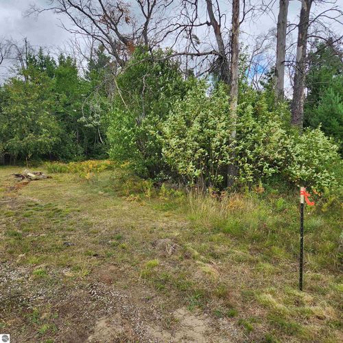 6324 Pine Point Dr, Grayling, MI, 49738-8619 | Card Image