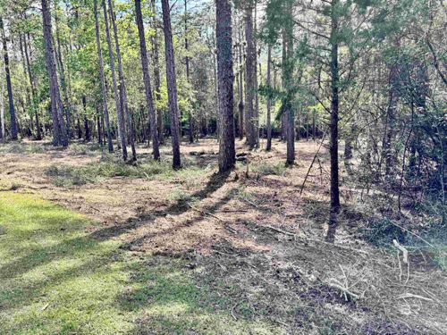 0 Steelwood Ridge Rd, Loxley, AL, 36551 | Card Image