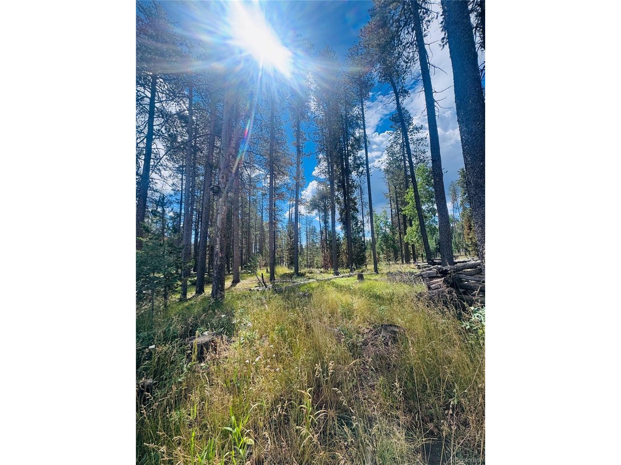 Land in Conifer 4