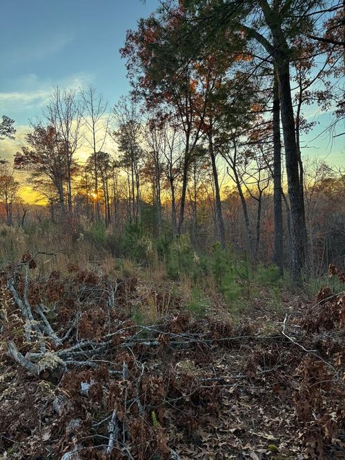 LOT 133 Sundown Trail, Ellijay, GA, 30541 | Card Image