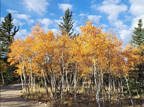 60 Mesa Ct, Como, CO, 80456 | Card Image