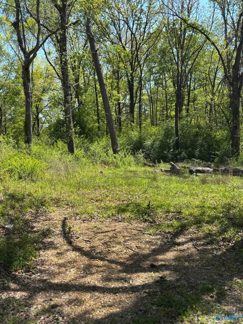 703B Agricola Drive, Gadsden, AL, 35904 | Card Image