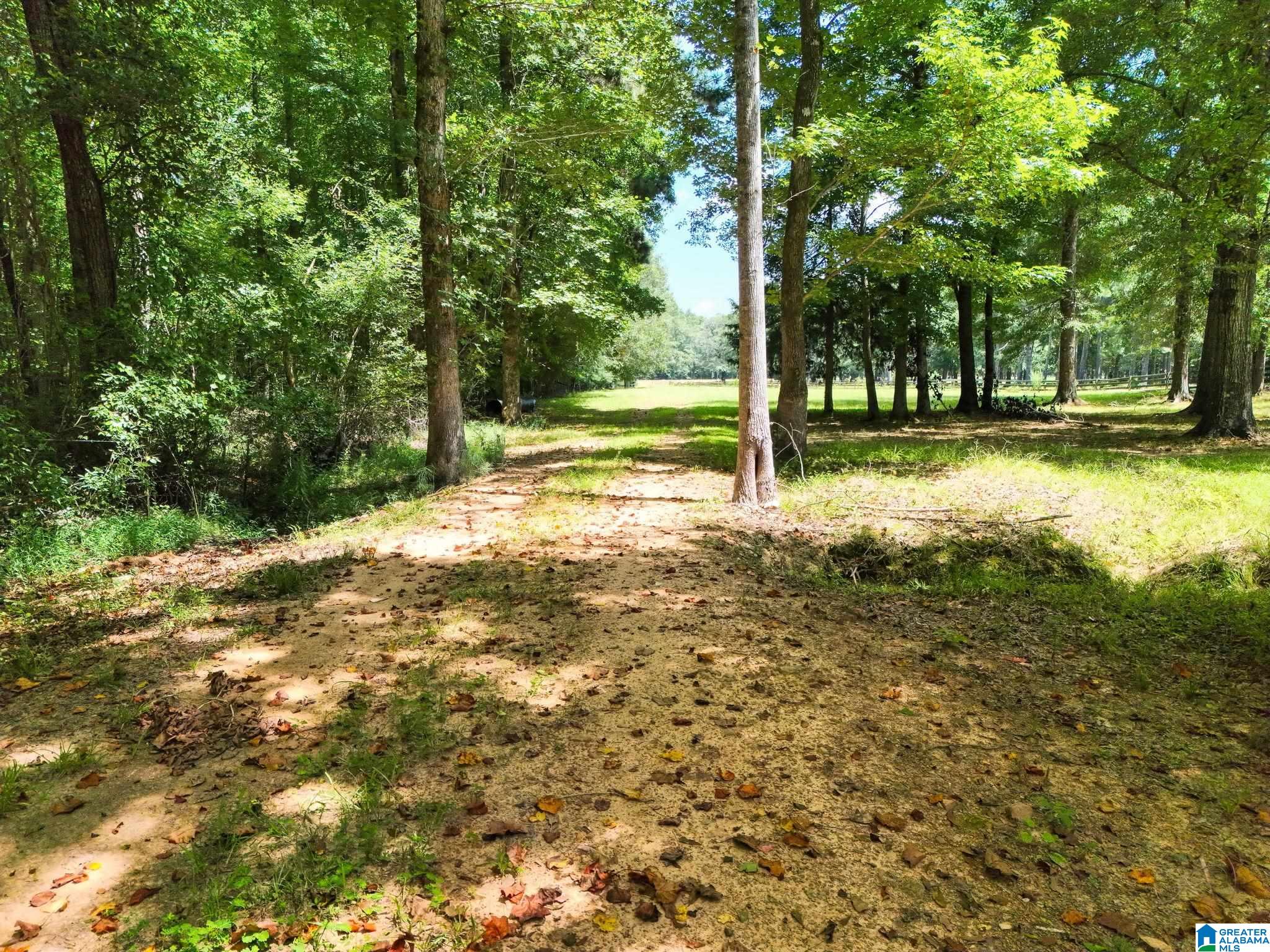 Land in CHELSEA 3