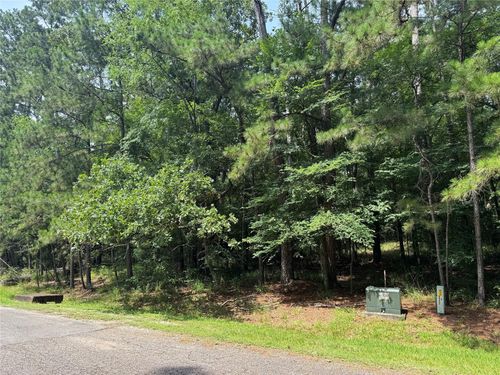 75 Green Tree Dr, Coldspring, TX, 77331-3292 | Card Image