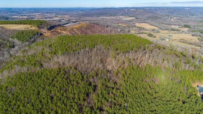 0 Rock Creek Rd, Home with 0 bedrooms, 0 bathrooms and null parking in Eva AL | Image 18