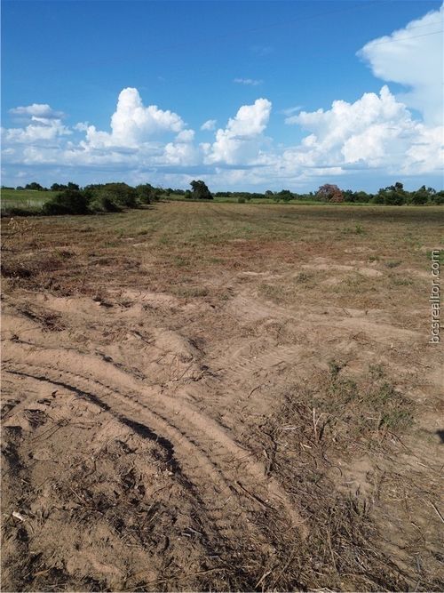 0 Grant St, Franklin, TX, 77856 | Card Image