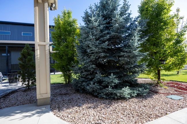View of yard | Image 82