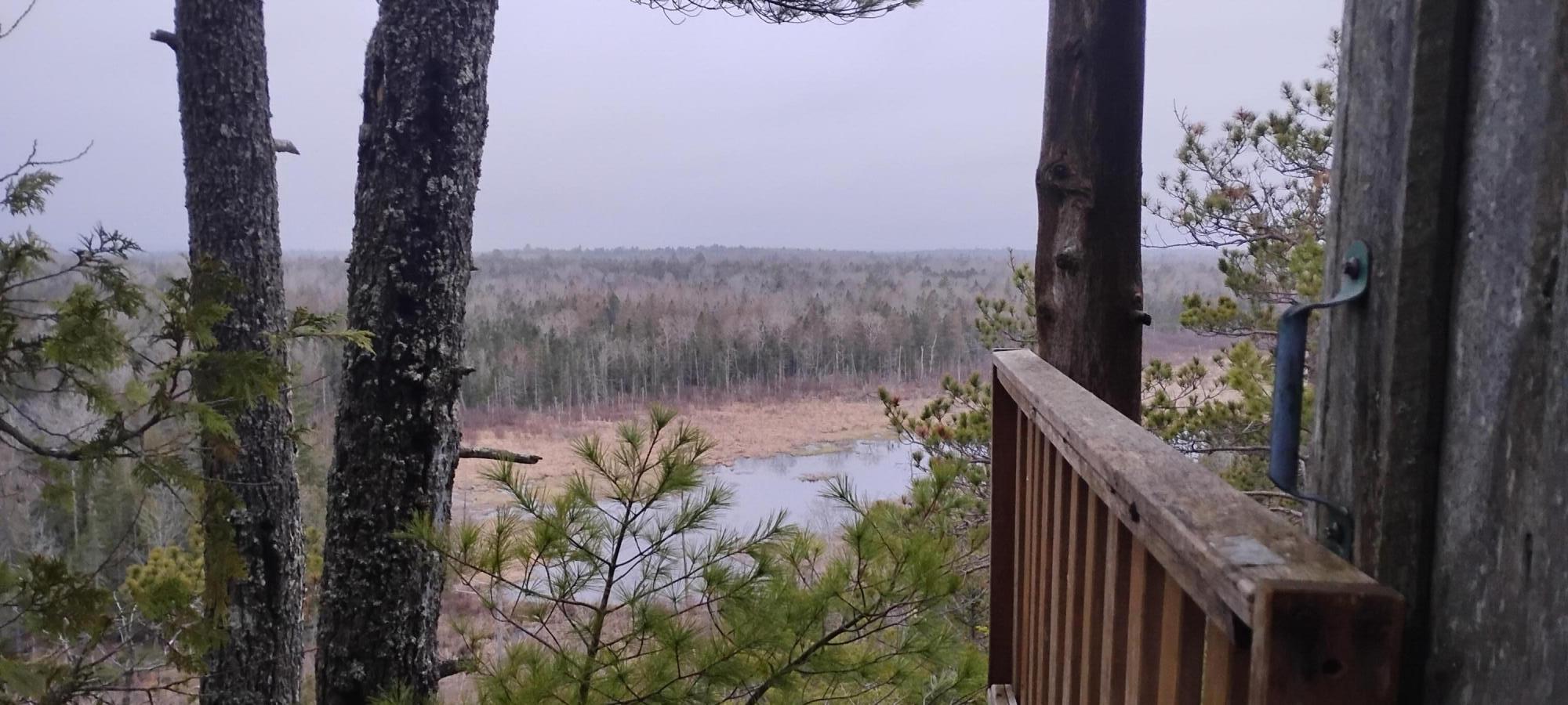 Land in Pembroke 3