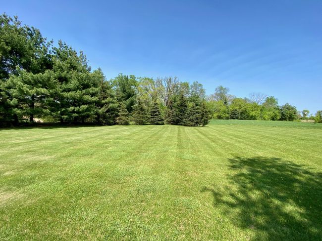 Misner great pasture area .jpg | Image 33