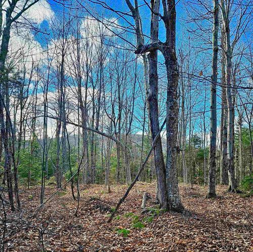 Lot 28 Knowles Hill Rd, Alexandria, NH, 03222-6102 | Card Image