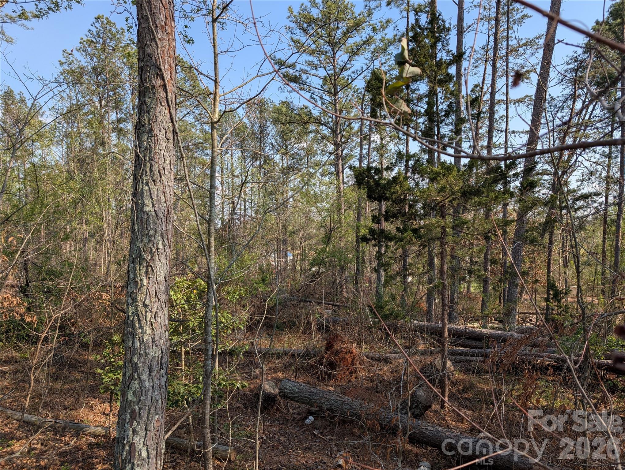 Land in Forest City
