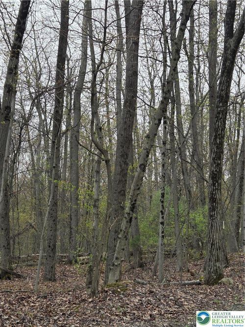 8847 Bake Oven Rd, Germansville, PA, 18053 | Card Image