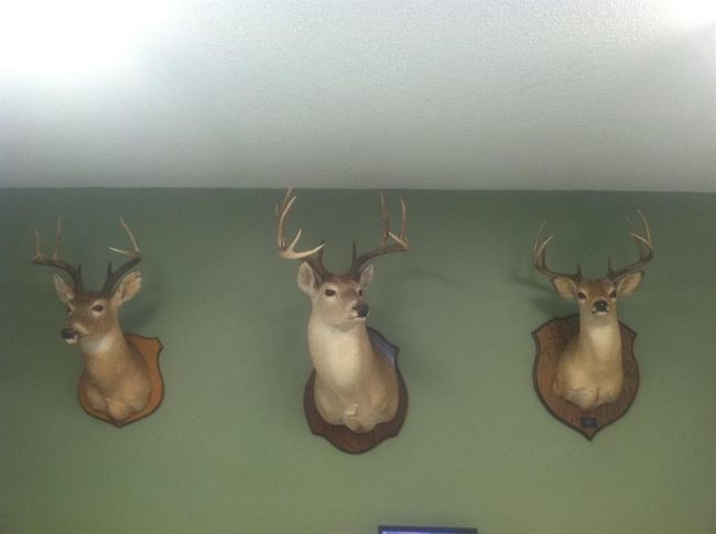 18157 State Highway 87 S, Home with 2 bedrooms, 1 bathrooms and 1 parking in Call TX | Image 38