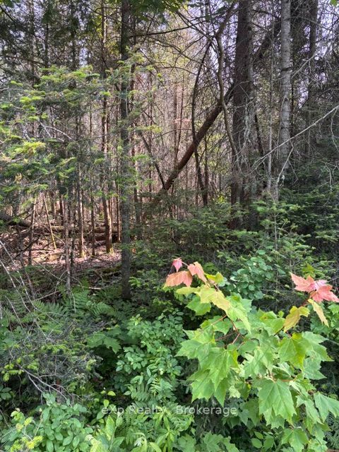 Residential in Parry Sound Remote Area 4