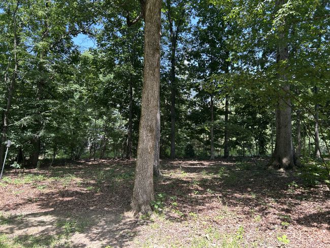 825 Highway 96 N, House other with 3 bedrooms, 2 bathrooms and 3 parking in Fairview TN | Image 27