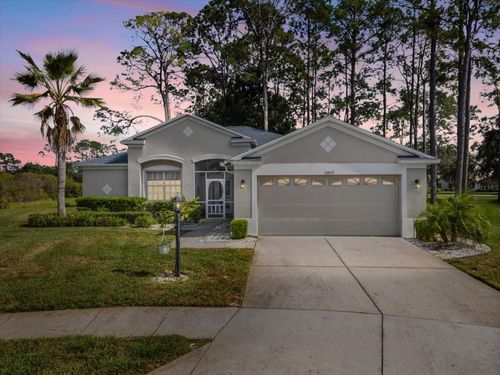 11802 Wayside Willow Ct, HUDSON, FL, 34667-5613 | Card Image