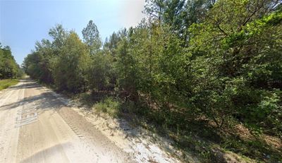 Lot 85 Ne 83 Rd Place, Home with 0 bedrooms, 0 bathrooms and null parking in Bronson FL | Image 2